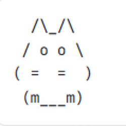 Bitcat / SOL