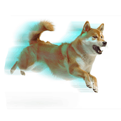 ACC/DOG