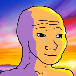 wojak / SOL
