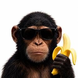 BANANAAPE / SOL