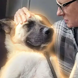 BRUCE