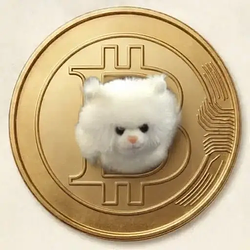 Bobcoin / SOL