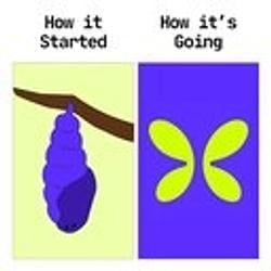 破茧成蝶
