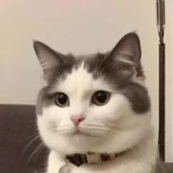 DCAT