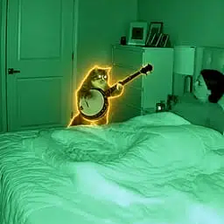 BanjoCat / SOL