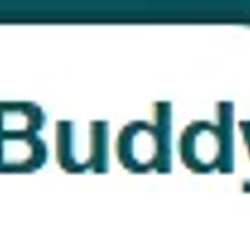 BUDDY / SOL