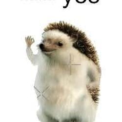 Official Tesla hedgehog