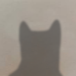 ㅤ / SOL