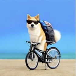 Inucycle