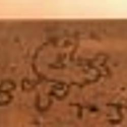 DICKBUTT / SOL