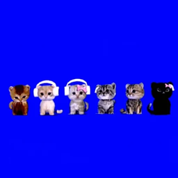 Simscats / SOL
