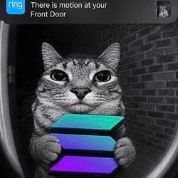 Motion / SOL