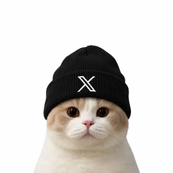 Xcat