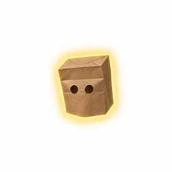 PAPERBAG