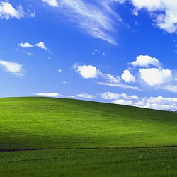 bliss