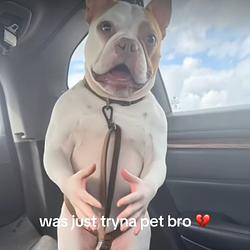 BITEYOU