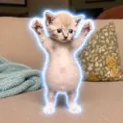 SNOWBALL / SOL