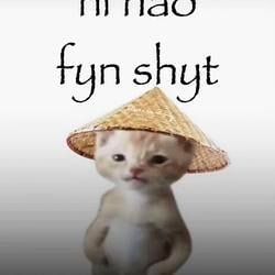FYNSHYT