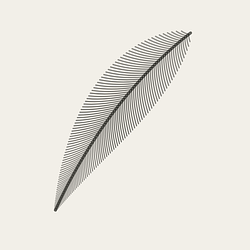 PLUME / WETH