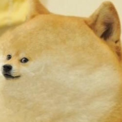 CHONKINU