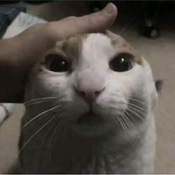 RAMCAT