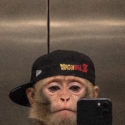 ZMONK