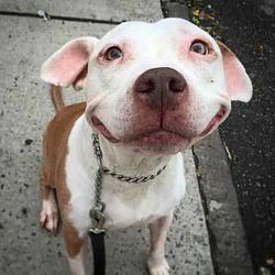 SMILEY
