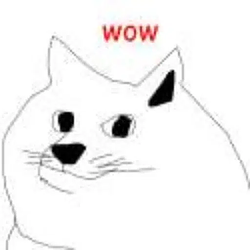 doge / SOL