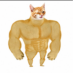 swolec