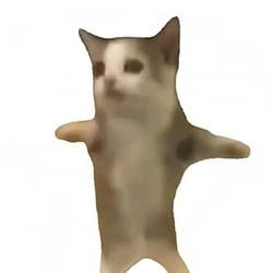 CATPE