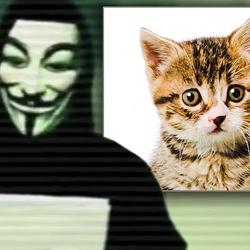 ANONCAT