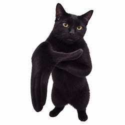 CCAT