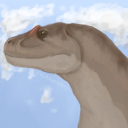 TRMSORUS