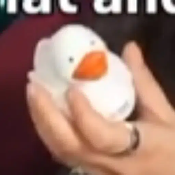 NvidiaDuck
