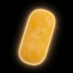 USEDSOAP