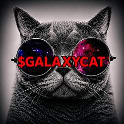 GalaxyCat / SOL