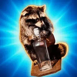 RACCOON / SOL