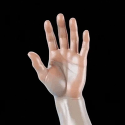 DMNDHANDS / SOL