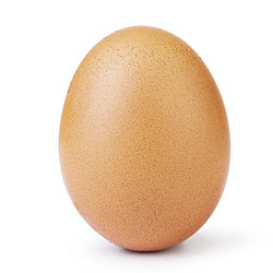 EGG / SOL