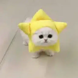 .gramcat