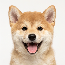 Inufication