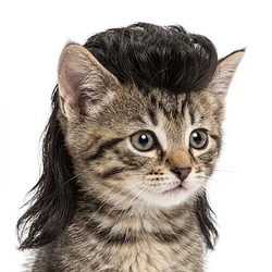 mog