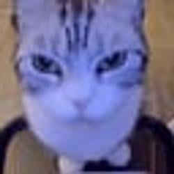 MOGCAT