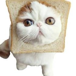 BREADCAT