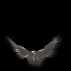 HOPE / SOL