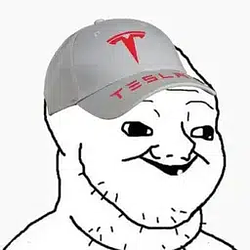 Tesla Assisted Driving