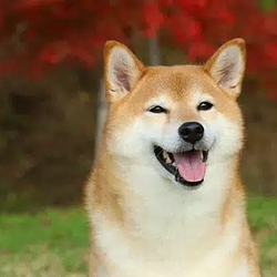 RWI