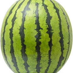 nigga