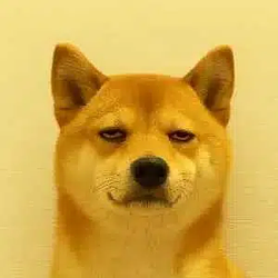 HINU / USDG
