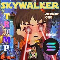 SKYWALKER